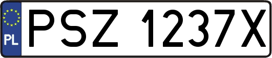 PSZ1237X