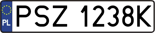 PSZ1238K