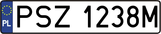 PSZ1238M