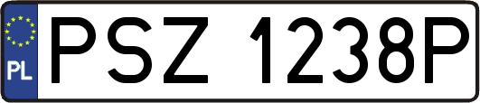 PSZ1238P