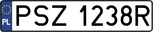 PSZ1238R