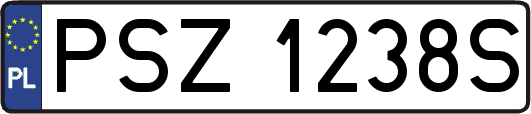 PSZ1238S