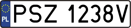 PSZ1238V