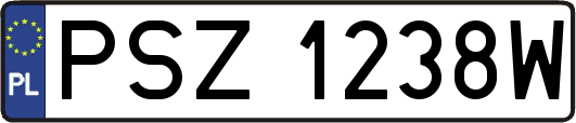 PSZ1238W