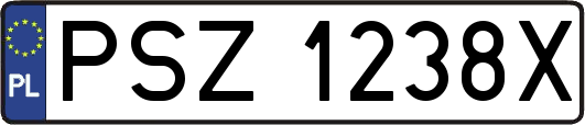 PSZ1238X