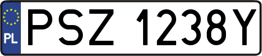 PSZ1238Y