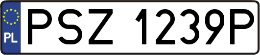 PSZ1239P
