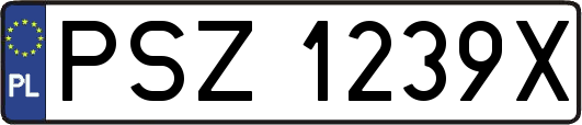 PSZ1239X