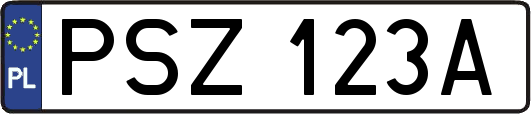 PSZ123A