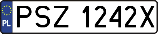 PSZ1242X