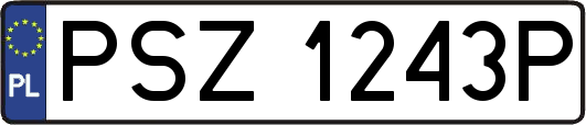 PSZ1243P