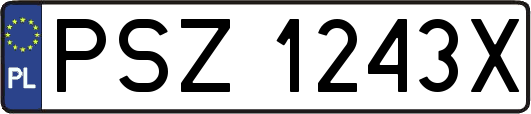 PSZ1243X
