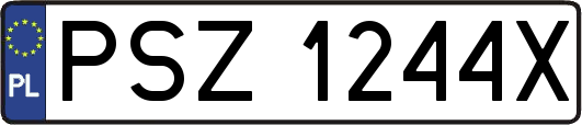PSZ1244X