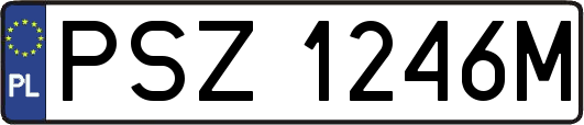 PSZ1246M