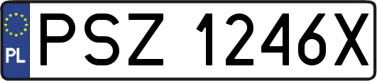 PSZ1246X