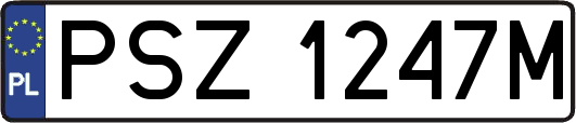 PSZ1247M