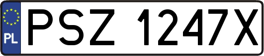 PSZ1247X