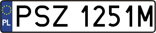 PSZ1251M
