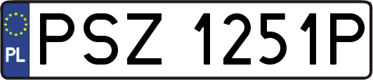 PSZ1251P