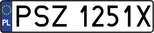 PSZ1251X