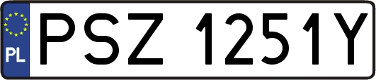 PSZ1251Y