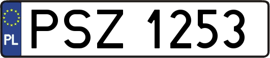 PSZ1253