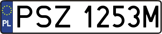 PSZ1253M