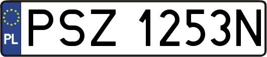 PSZ1253N
