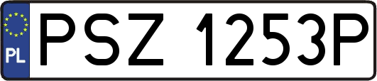 PSZ1253P