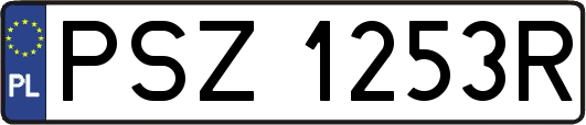 PSZ1253R