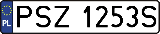 PSZ1253S