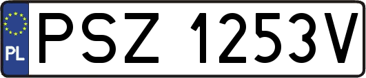 PSZ1253V