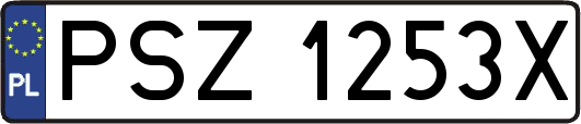 PSZ1253X
