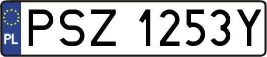 PSZ1253Y