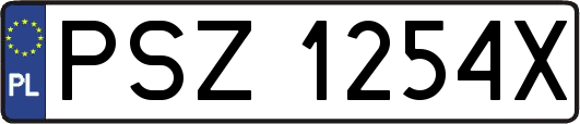PSZ1254X