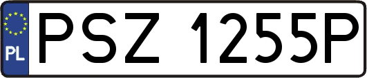 PSZ1255P