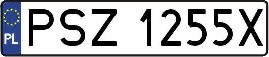 PSZ1255X