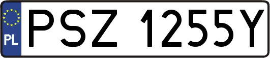 PSZ1255Y