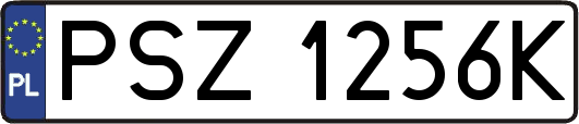 PSZ1256K