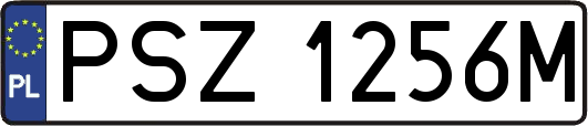 PSZ1256M