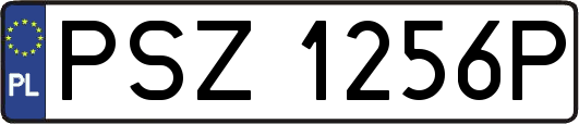 PSZ1256P