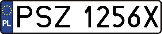 PSZ1256X