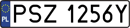 PSZ1256Y