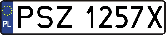 PSZ1257X