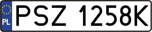 PSZ1258K