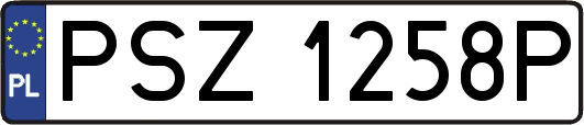 PSZ1258P