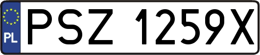 PSZ1259X