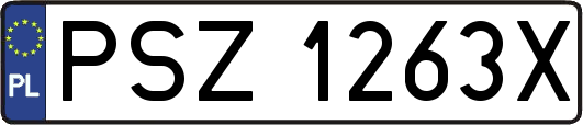 PSZ1263X
