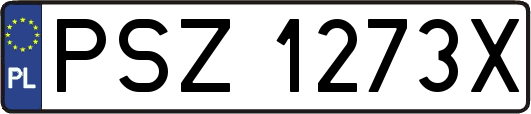 PSZ1273X