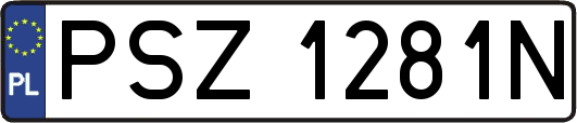 PSZ1281N